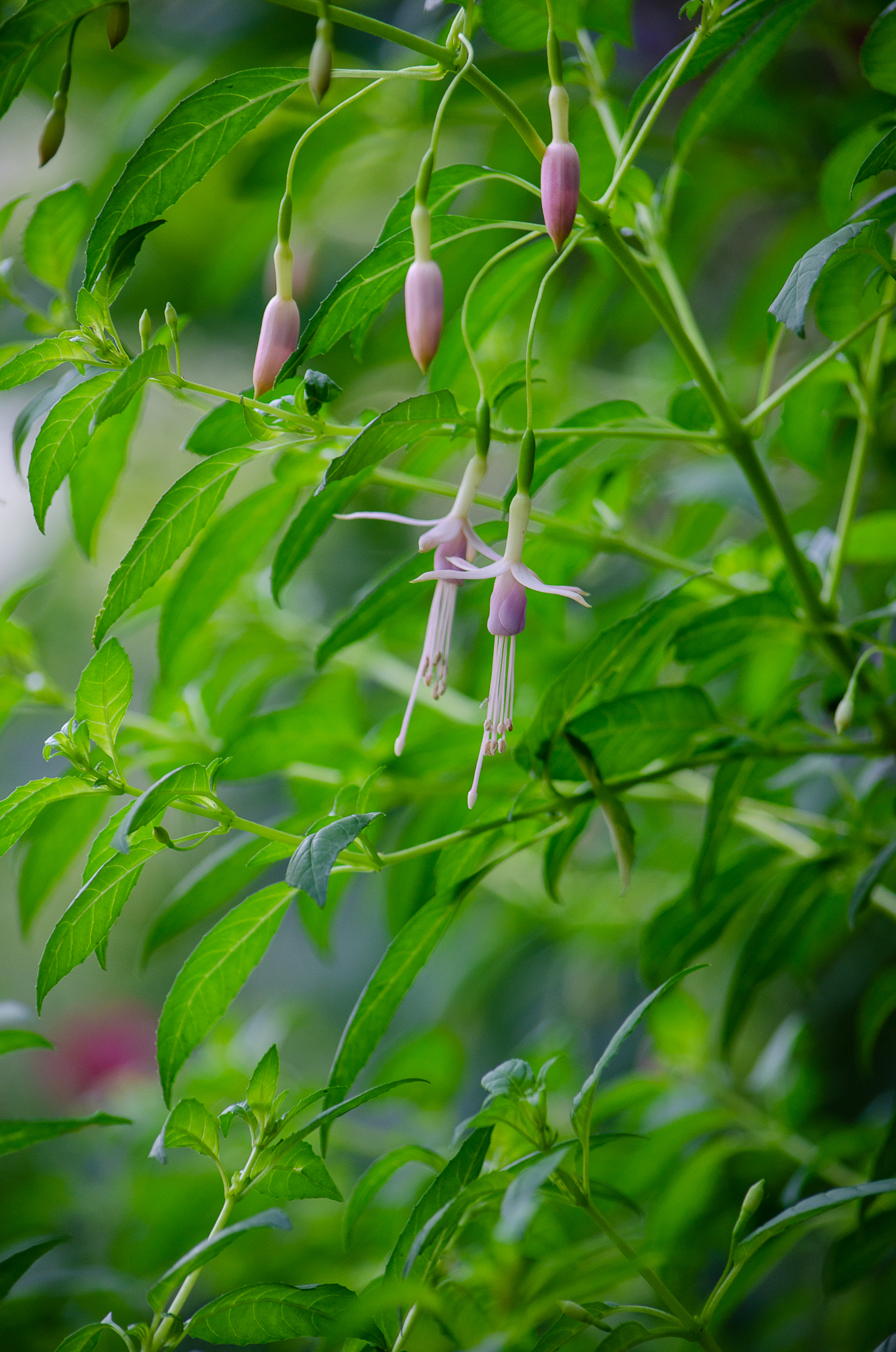 © 2022 Heather Fyfe Photography