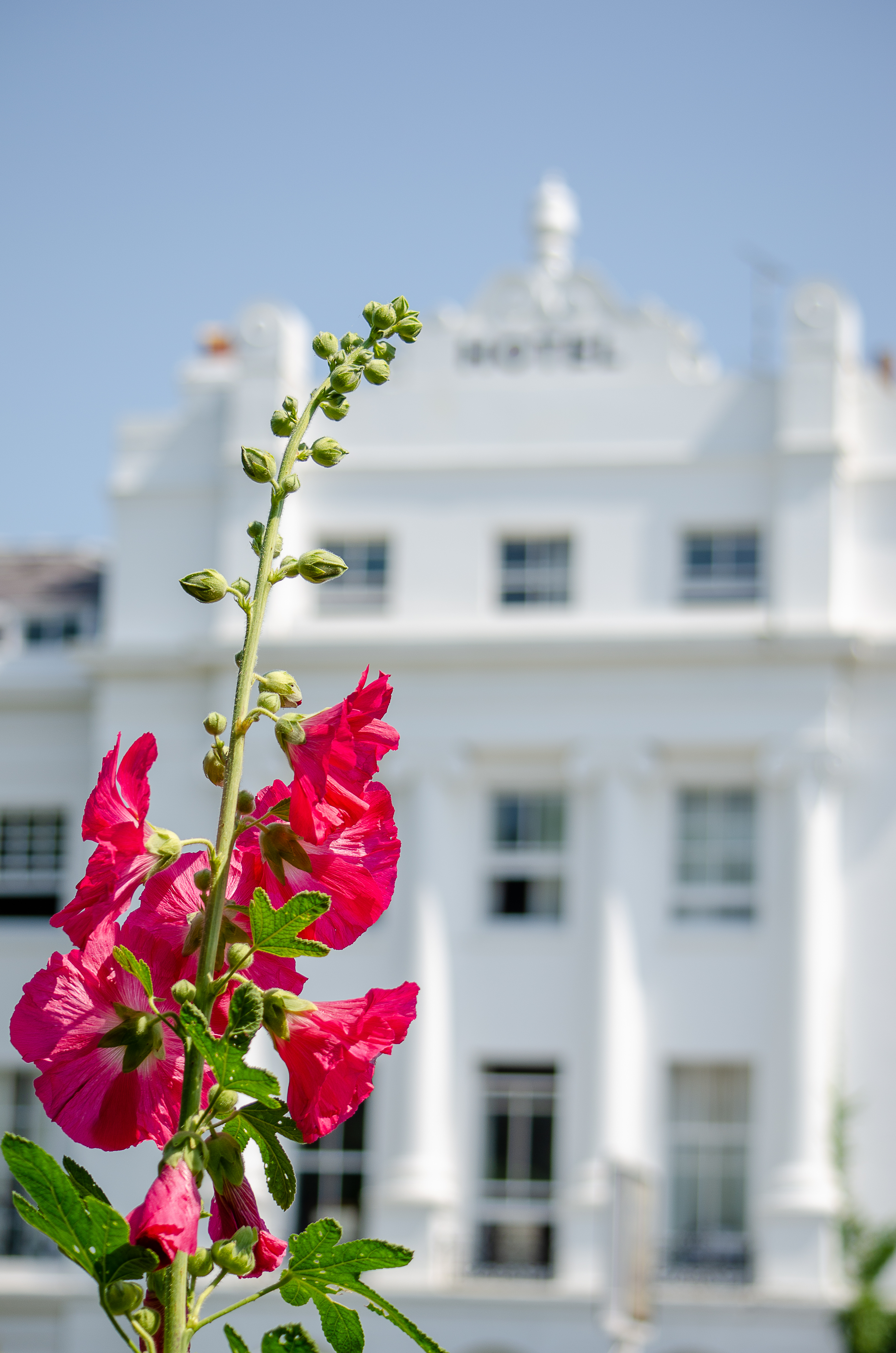 © 2022 Heather Fyfe Photography