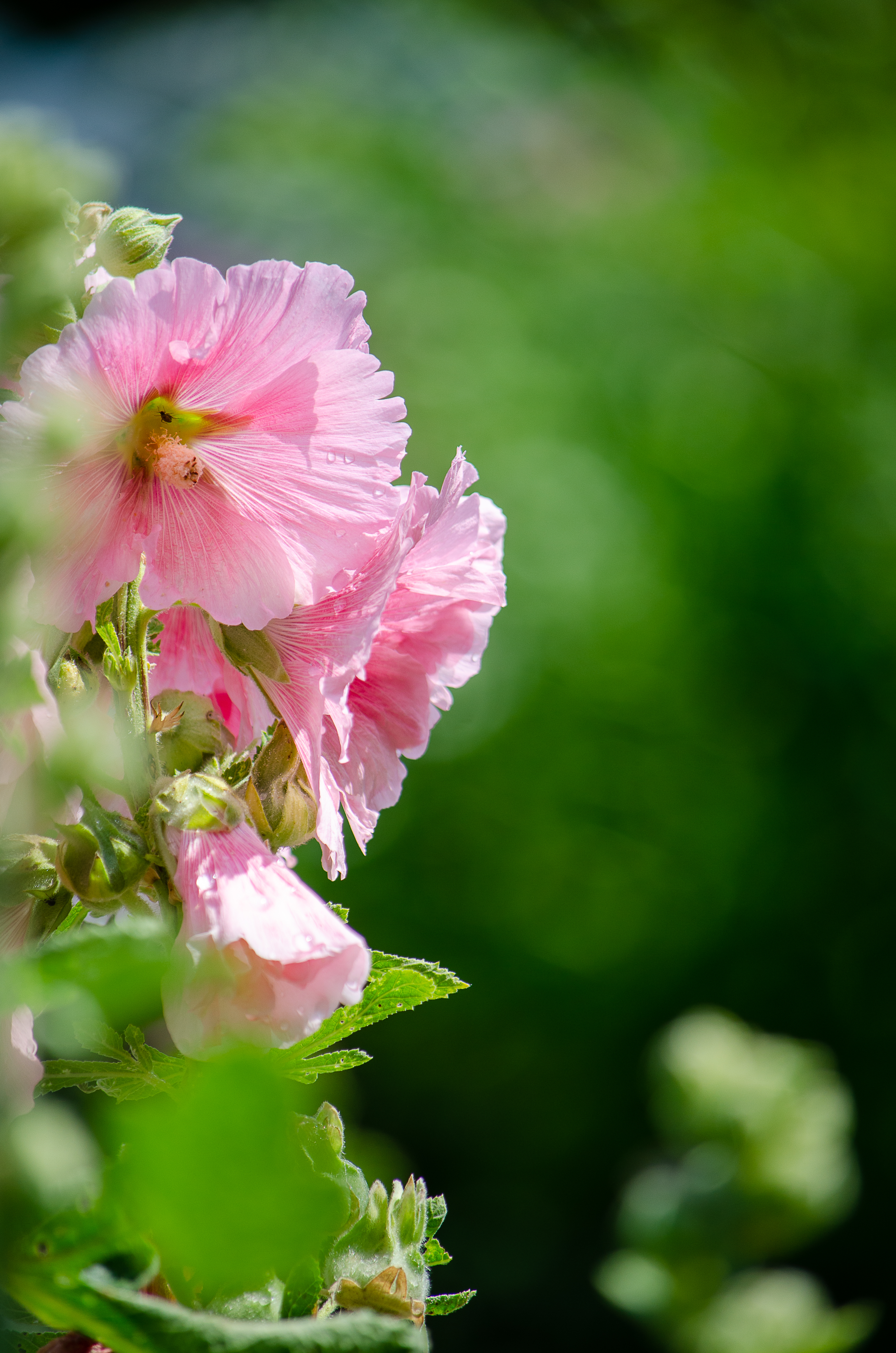 © 2022 Heather Fyfe Photography