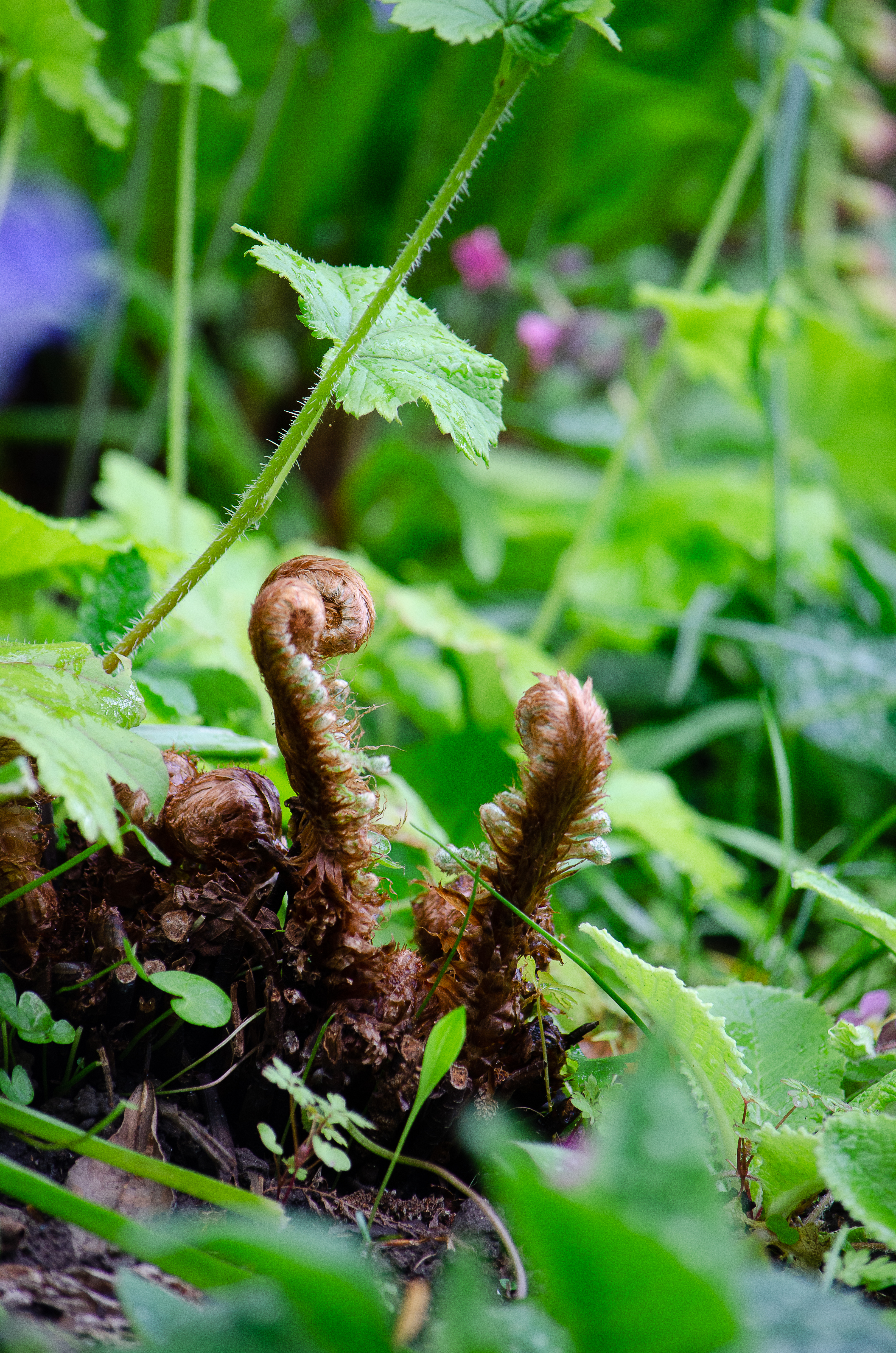 © 2022 Heather Fyfe Photography