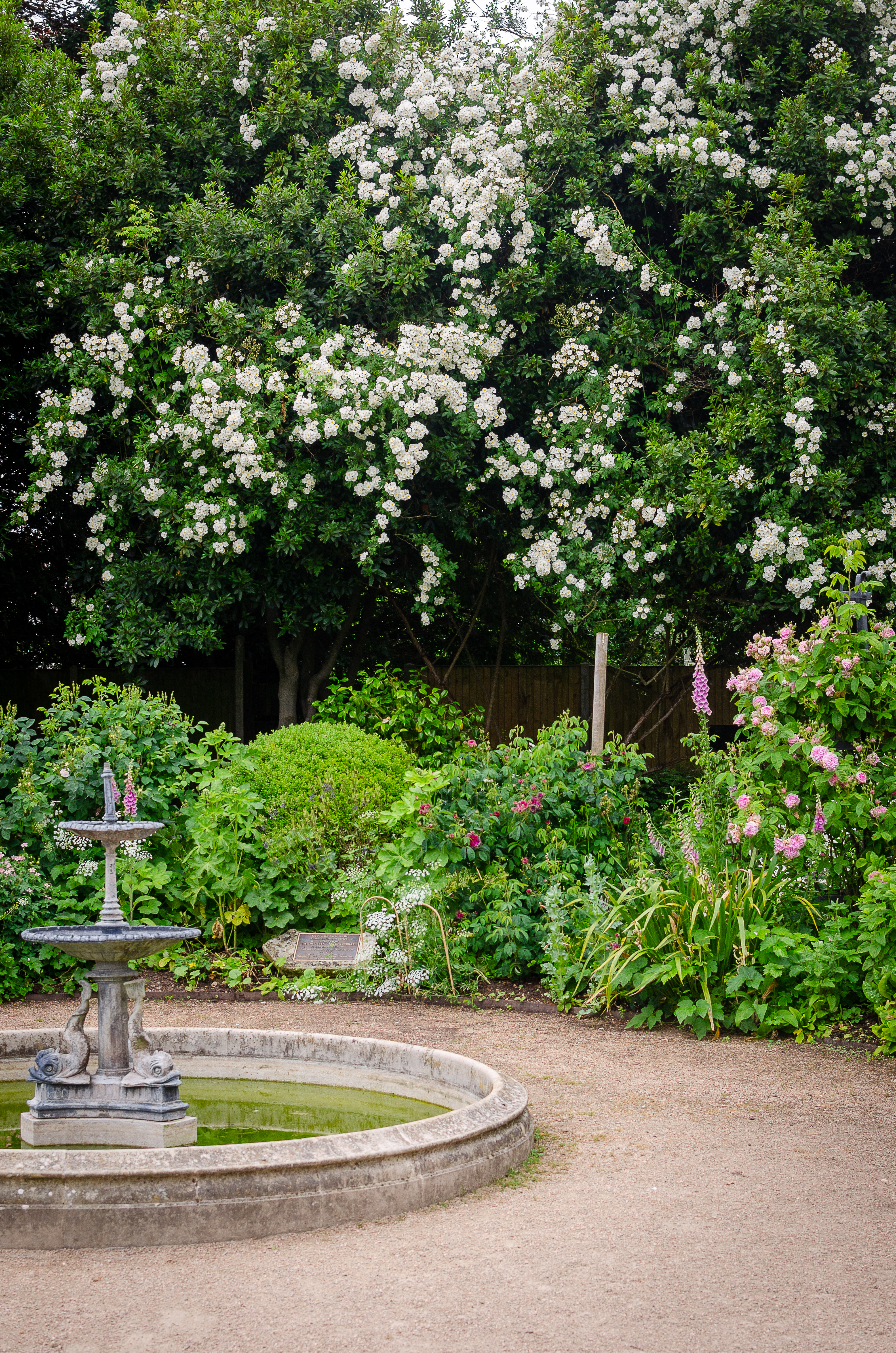 © 2022 Heather Fyfe Photography