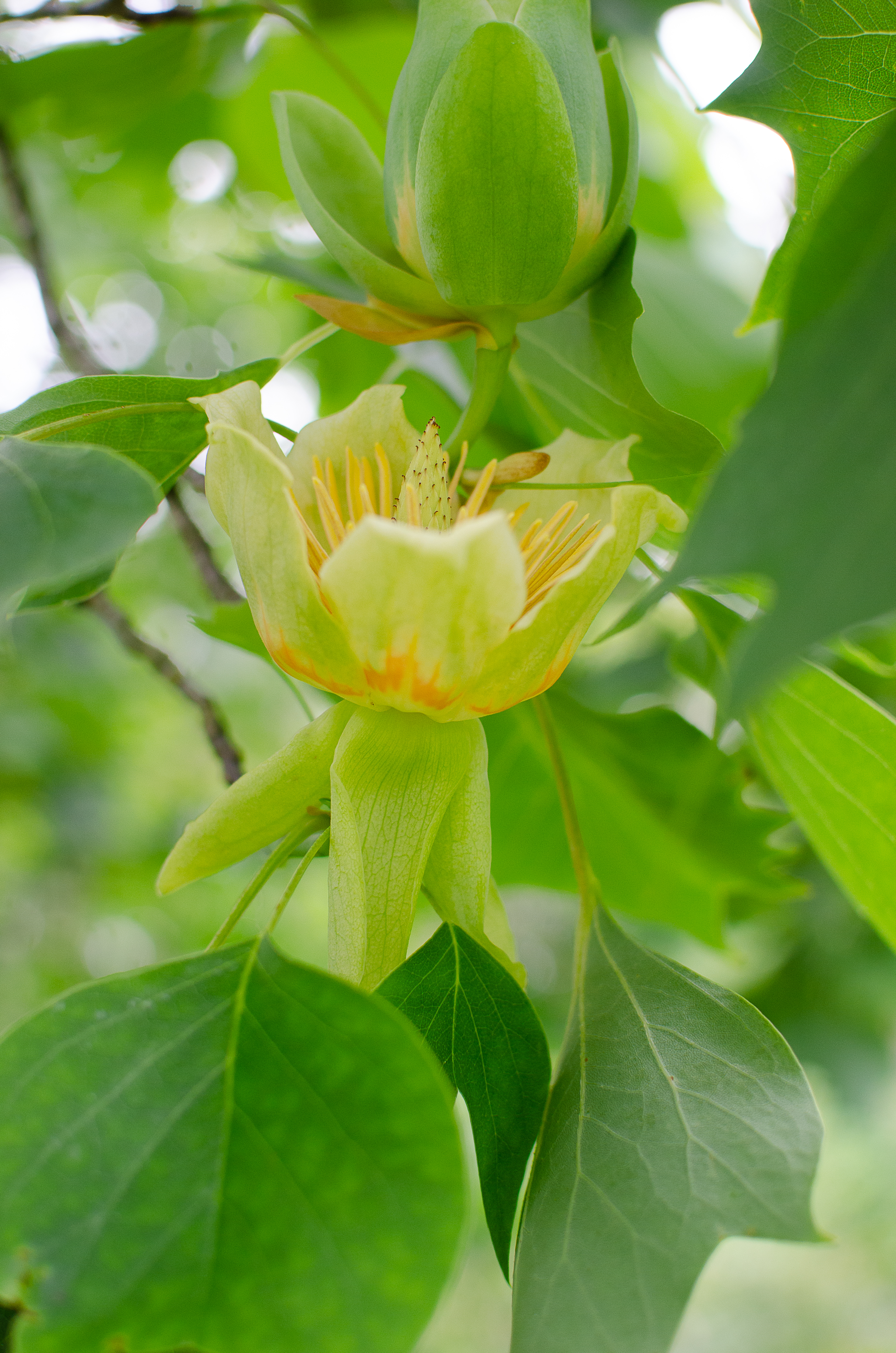 © 2022 Heather Fyfe Photography