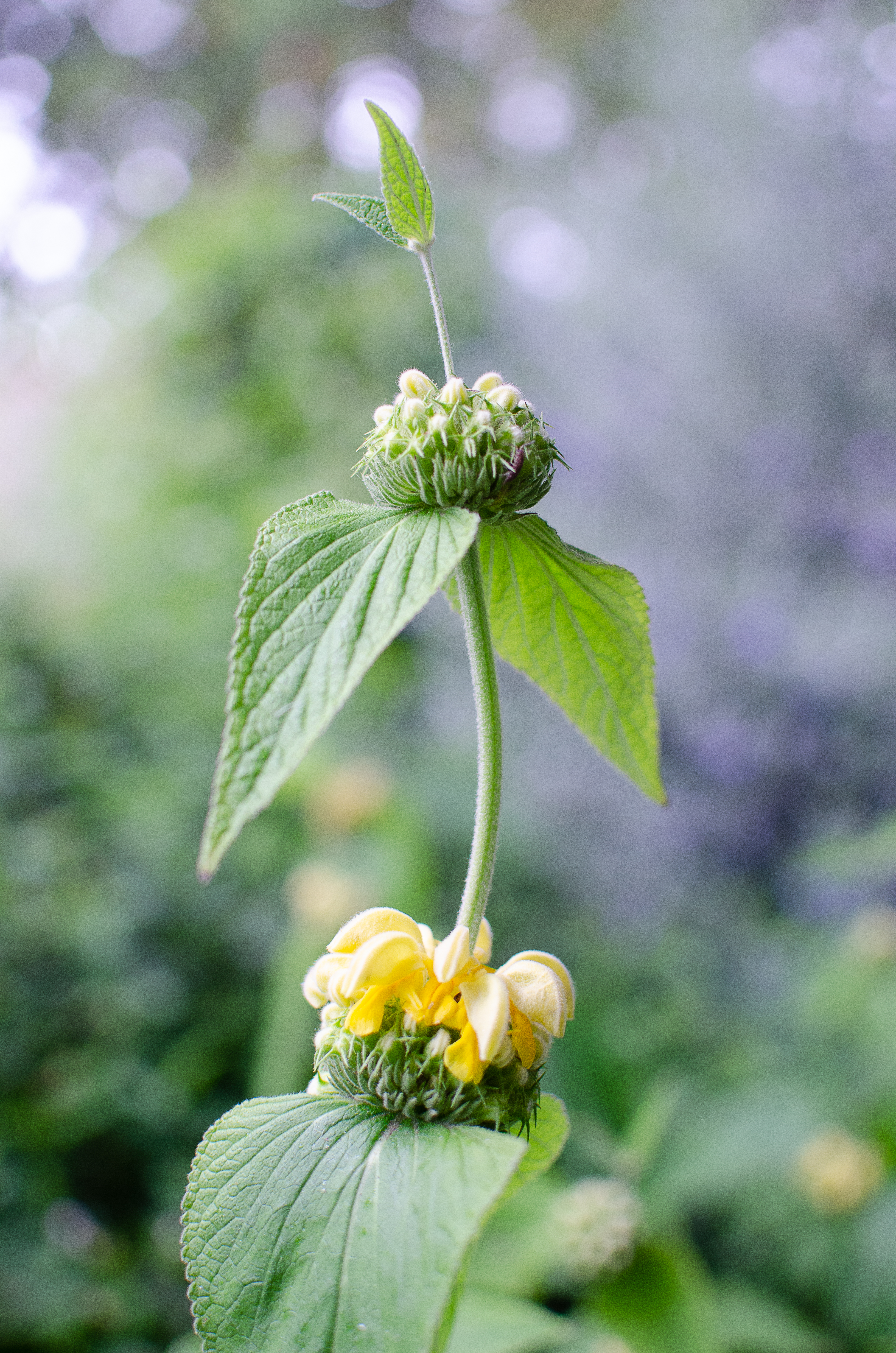 © 2022 Heather Fyfe Photography