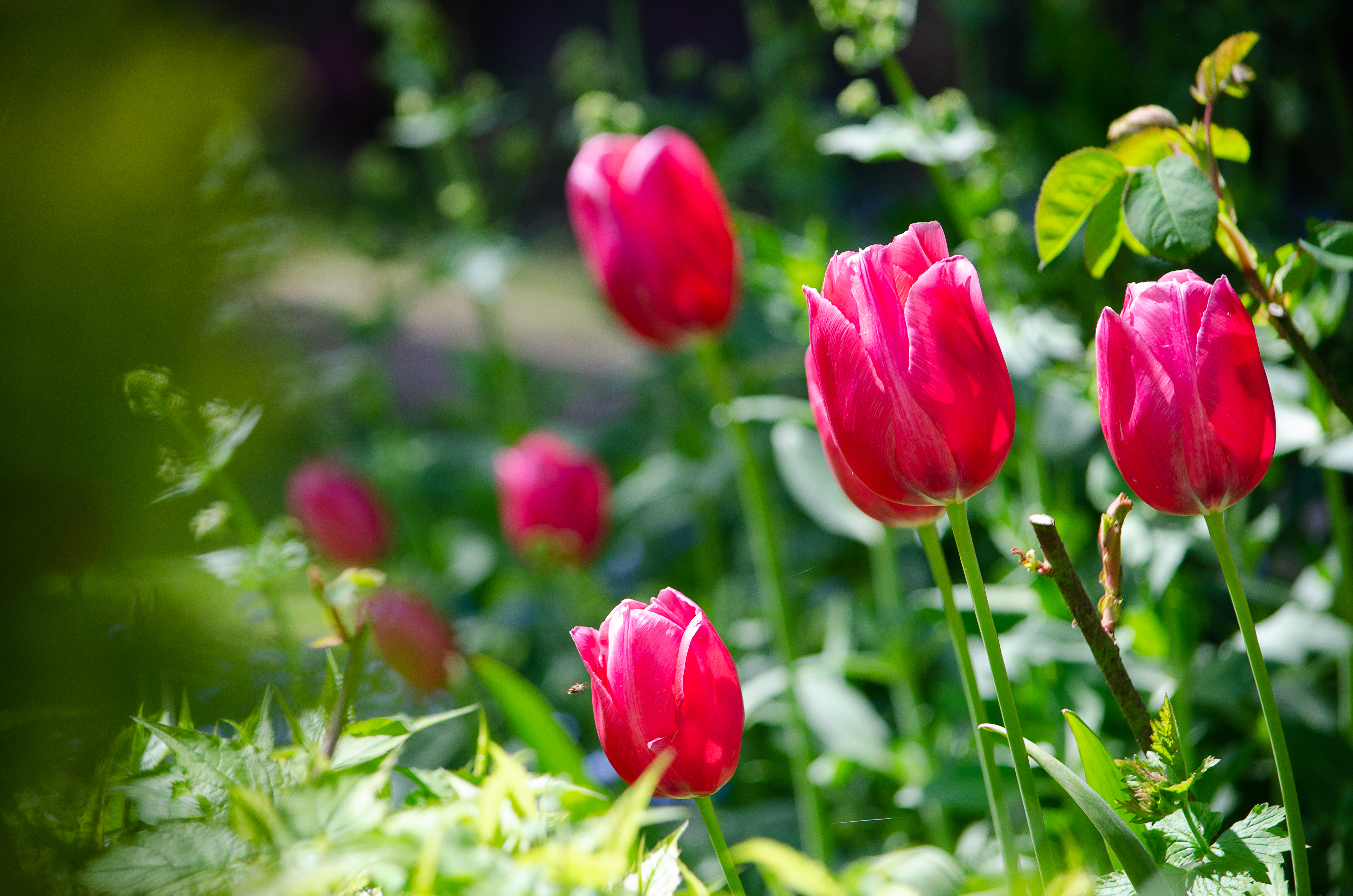 © 2022 Heather Fyfe Photography