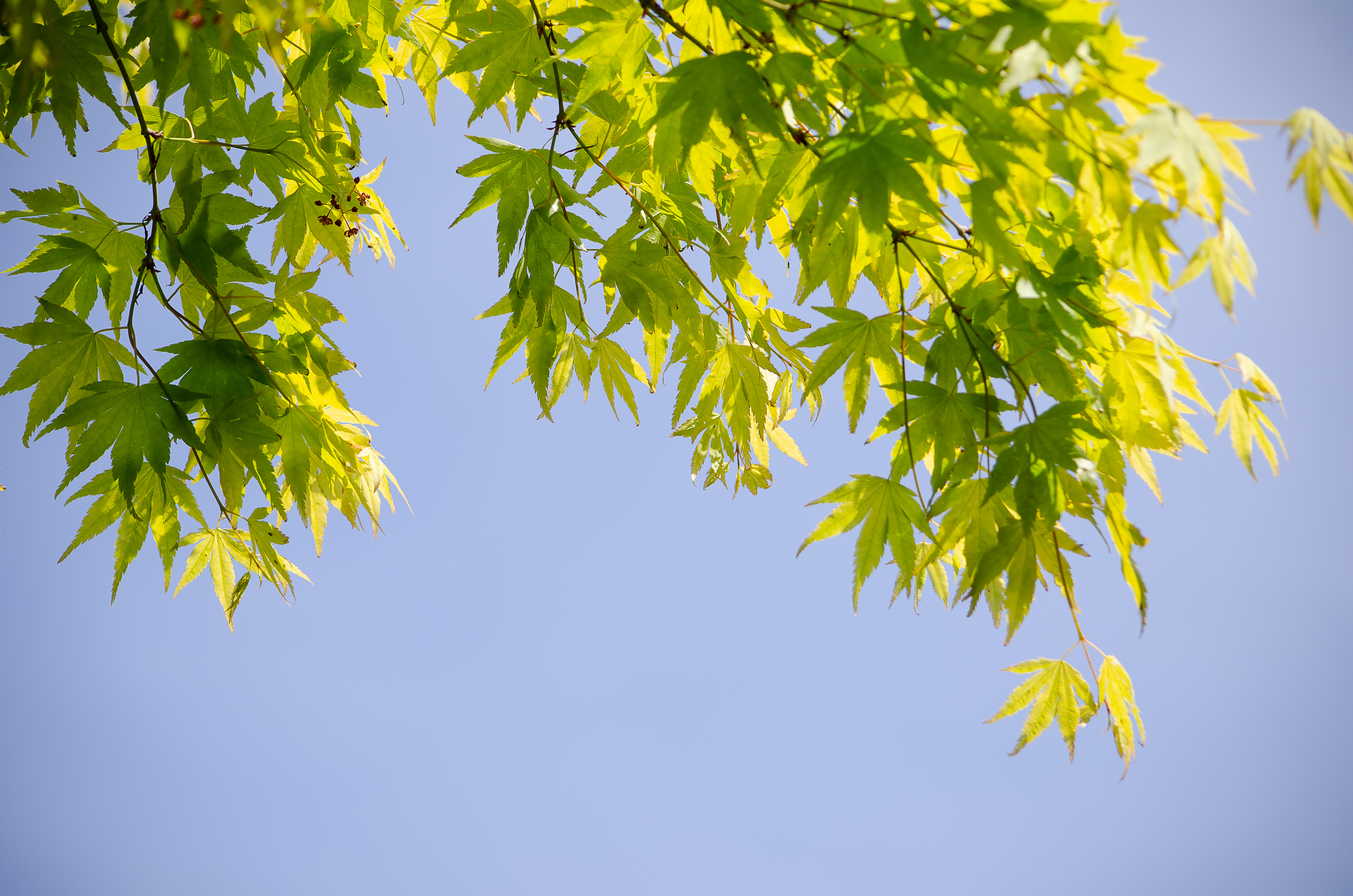 © 2022 Heather Fyfe Photography