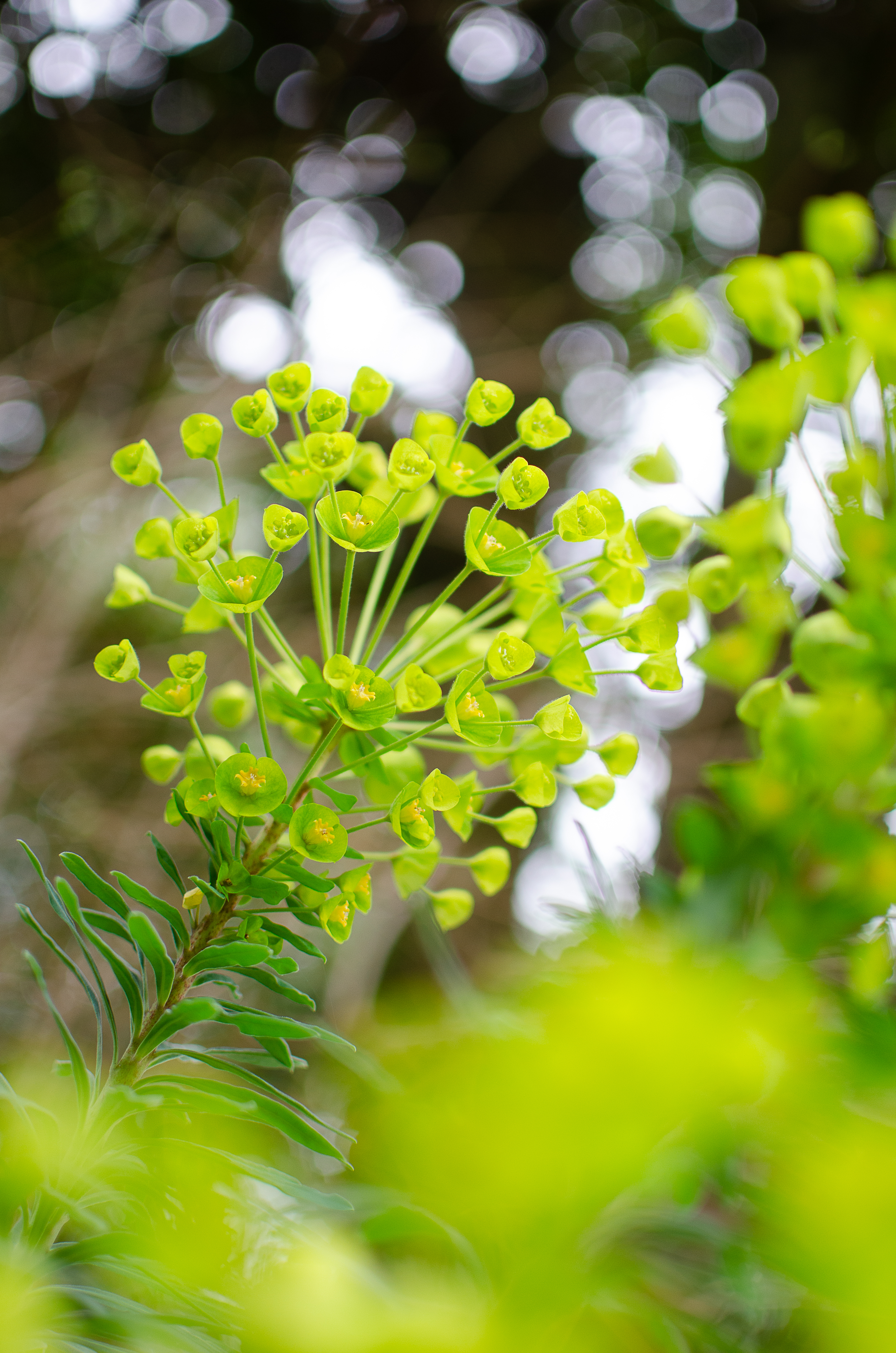 © 2022 Heather Fyfe Photography