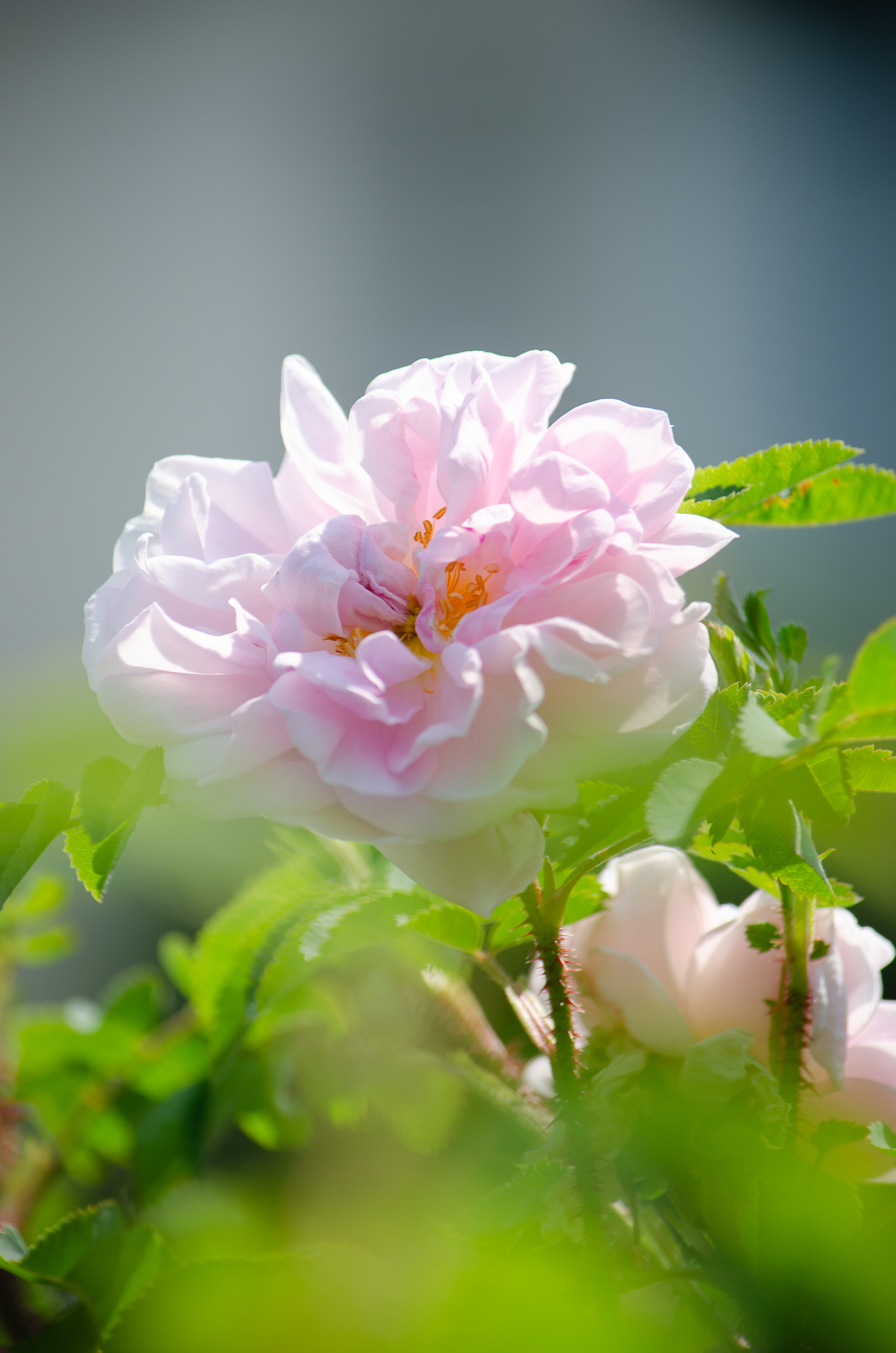 © 2022 Heather Fyfe Photography