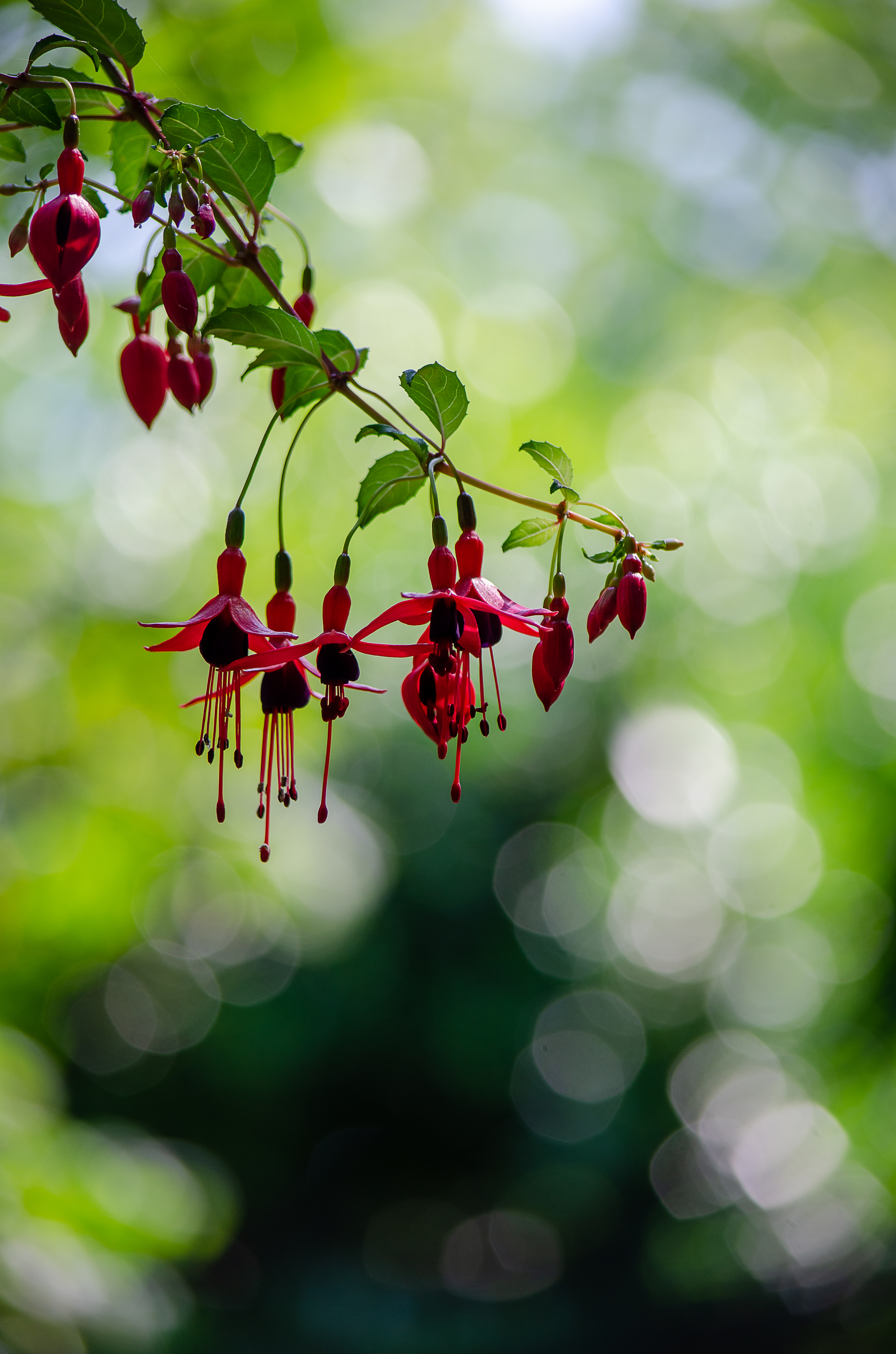 © 2022 Heather Fyfe Photography