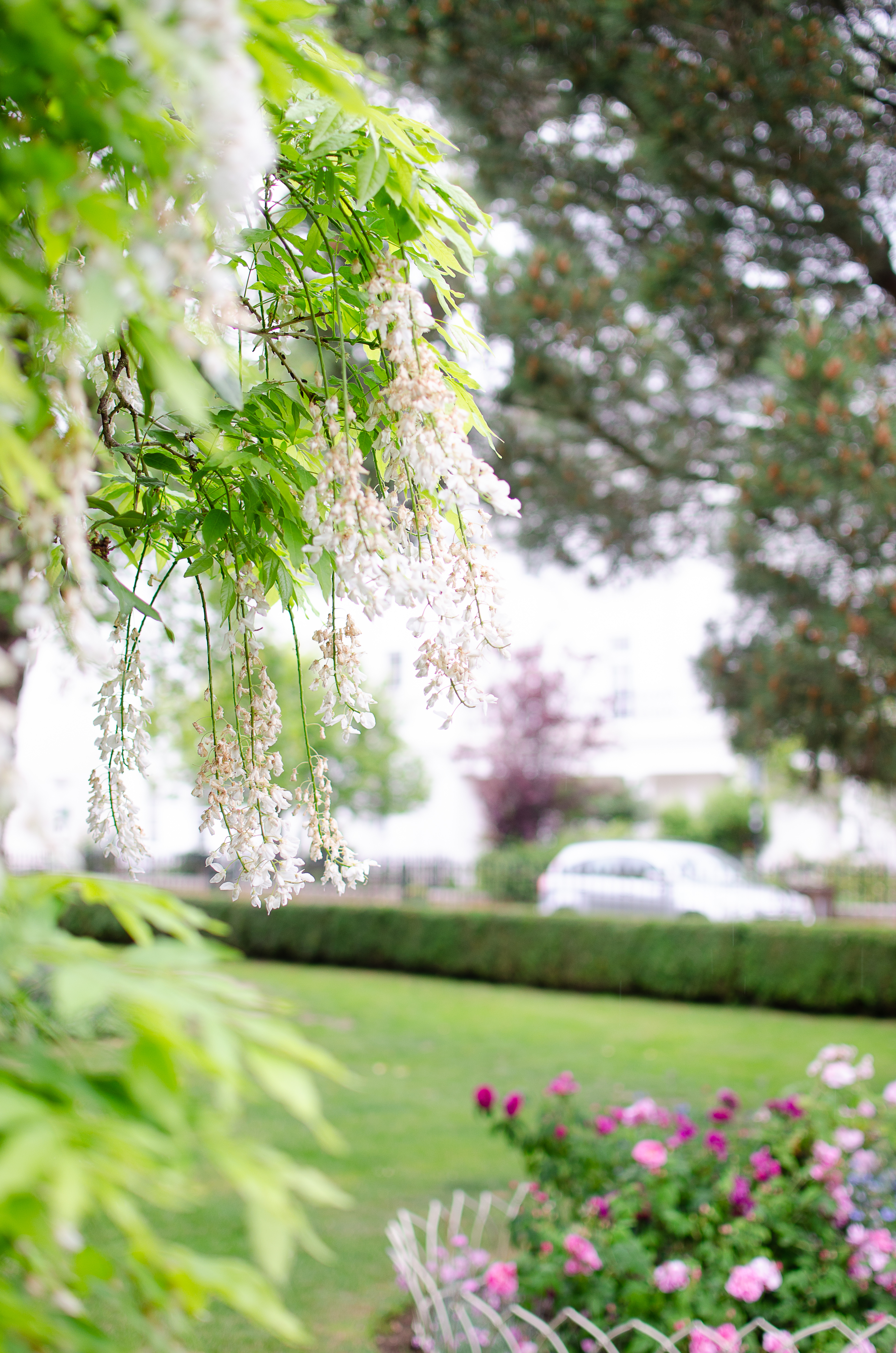 © 2022 Heather Fyfe Photography